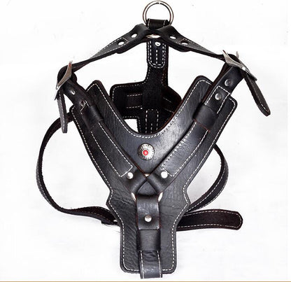 EliteGrip Leather Harness