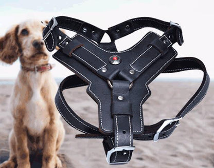 EliteGrip Leather Harness