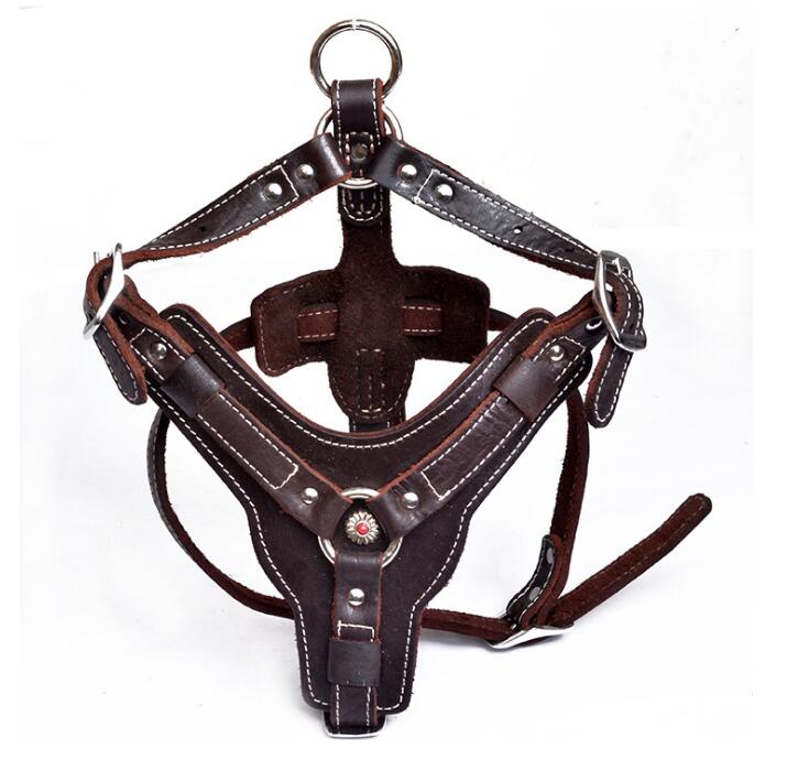 EliteGrip Leather Harness