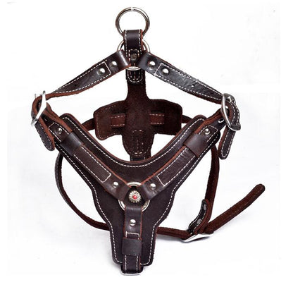 EliteGrip Leather Harness