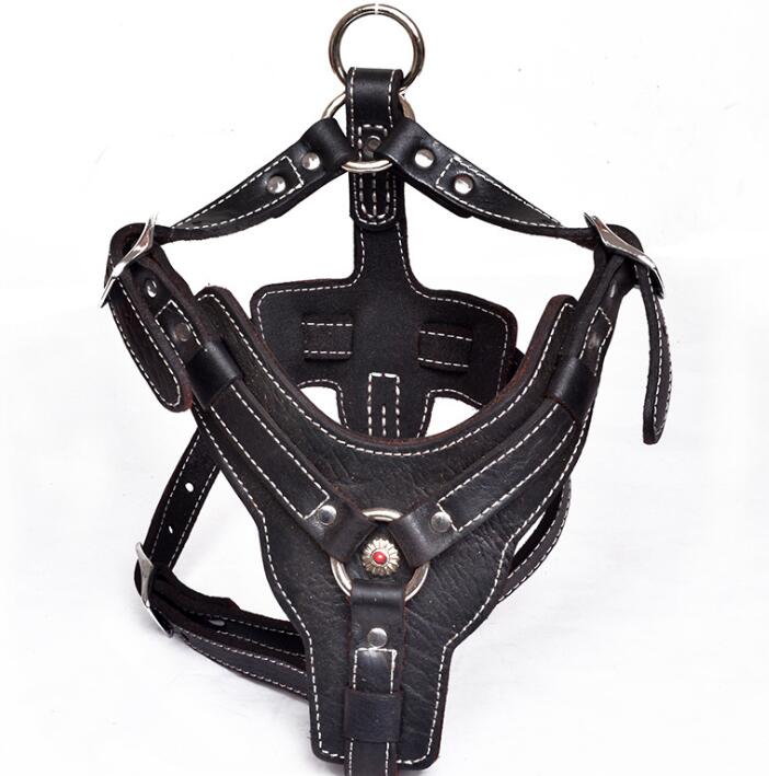 EliteGrip Leather Harness