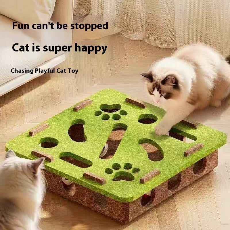 SmartPaws Puzzle Box