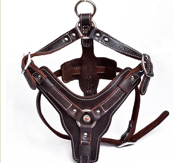 EliteGrip Leather Harness
