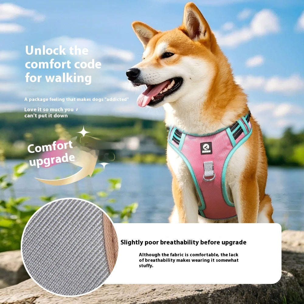 SafePaws No-Pull Harness Set