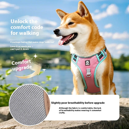 SafePaws No-Pull Harness Set