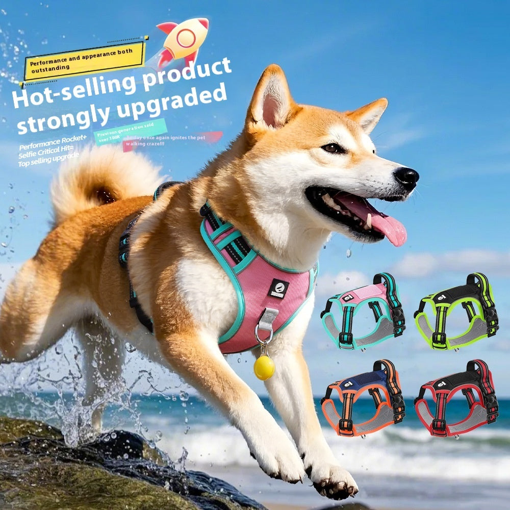 SafePaws No-Pull Harness Set