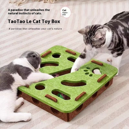 SmartPaws Puzzle Box