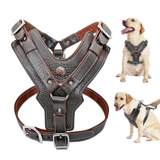 EliteGrip Leather Harness