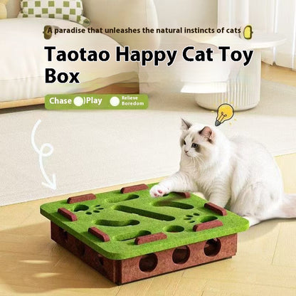 SmartPaws Puzzle Box